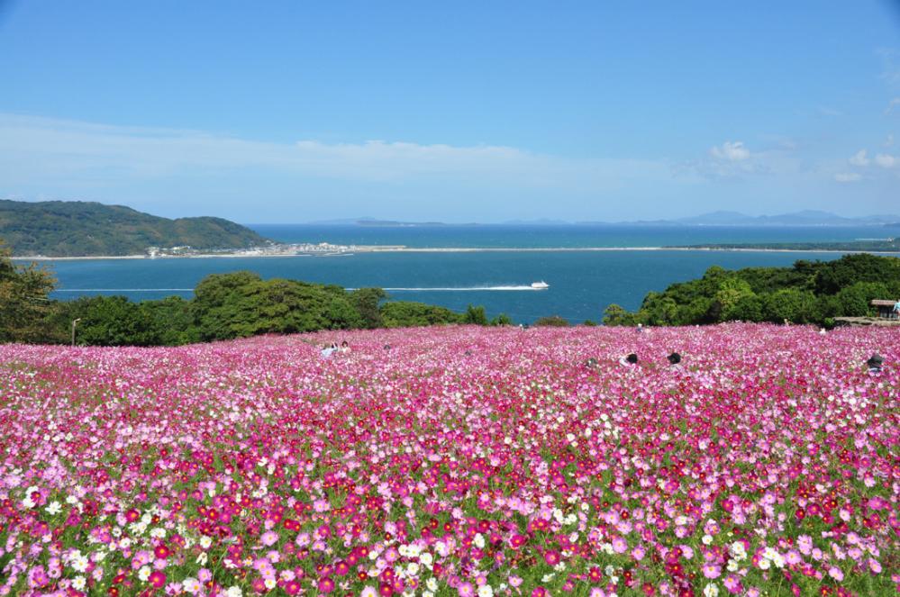 Things to Do in Fukuoka: Top Attractions and Hidden Gems