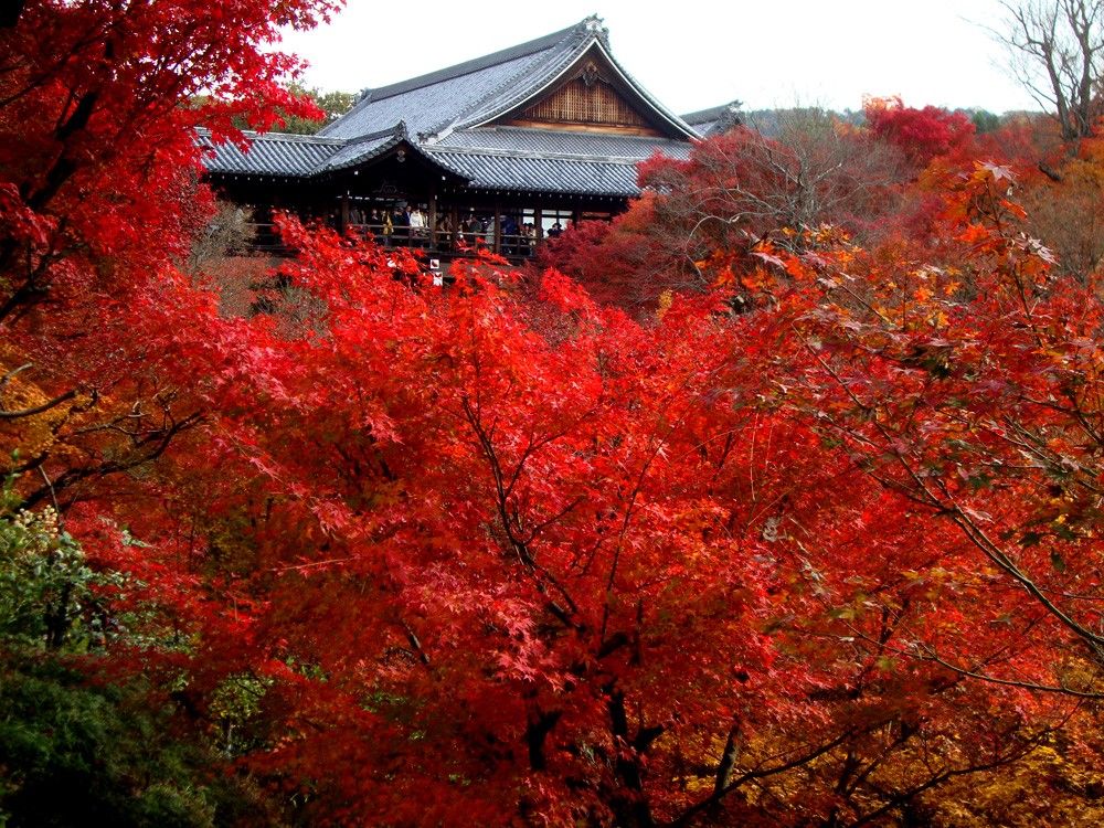 Things to Do in Yamanashi Prefecture: A Guide to Natural Wonders and Cultural Gems