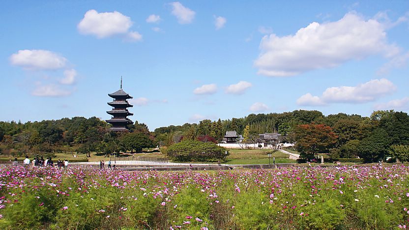 Things to Do in Okayama Prefecture: A Guide to Must-See Attractions
