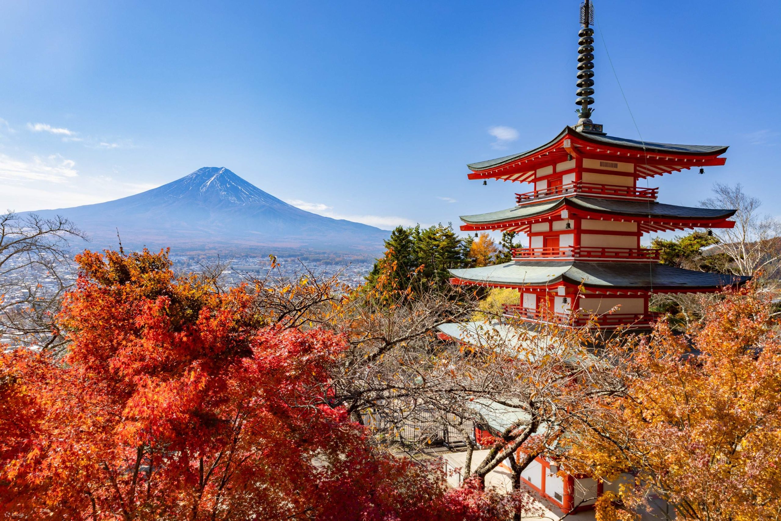 Things to Do in Yamanashi Prefecture: A Guide to Natural Wonders and Cultural Gems