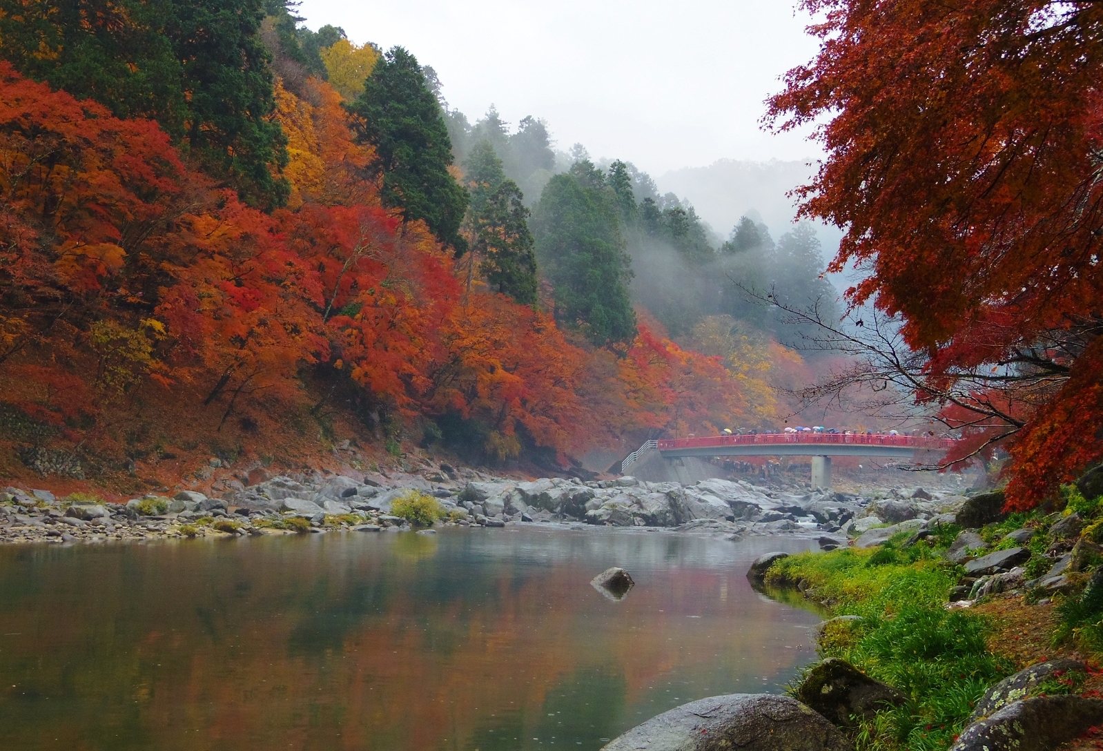 Things to Do in Aichi Prefecture: A Traveler's Guide to Must-See Attractions