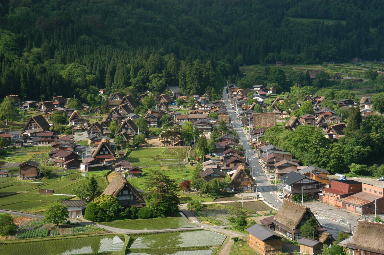 Things to Do in Gifu Prefecture: Unmissable Experiences in Japan's Heartland