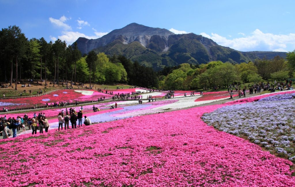 Things to Do in Saitama: Your Ultimate Guide to Exploring the City